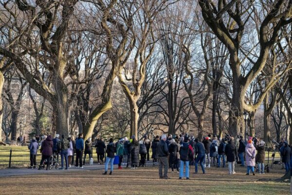 Meghalt Flaco a Manhattan i állatkertből megszökött uhu Magyar