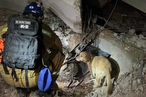 Trafi és Dr. Mezősi Tamás éjjeli mentés közben Antakyában