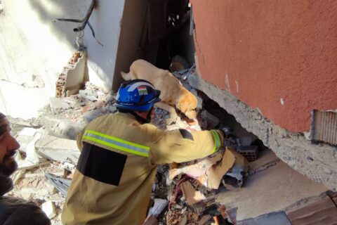 Trafi és Dr. Mezősi Tamás mentés közben Antakyában