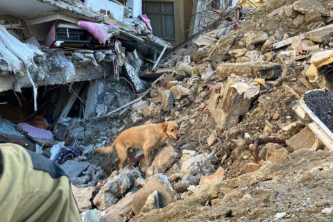 Trafi és Dr. Mezősi Tamás mentés közben Antakyában