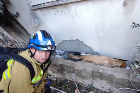 Trafi és Dr. Mezősi Tamás mentés közben Antakyában