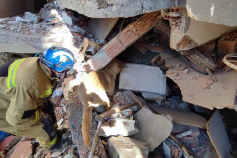 Trafi és Dr. Mezősi Tamás mentés közben Antakyában