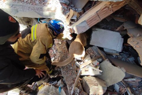 Trafi és Dr. Mezősi Tamás mentés közben Antakyában