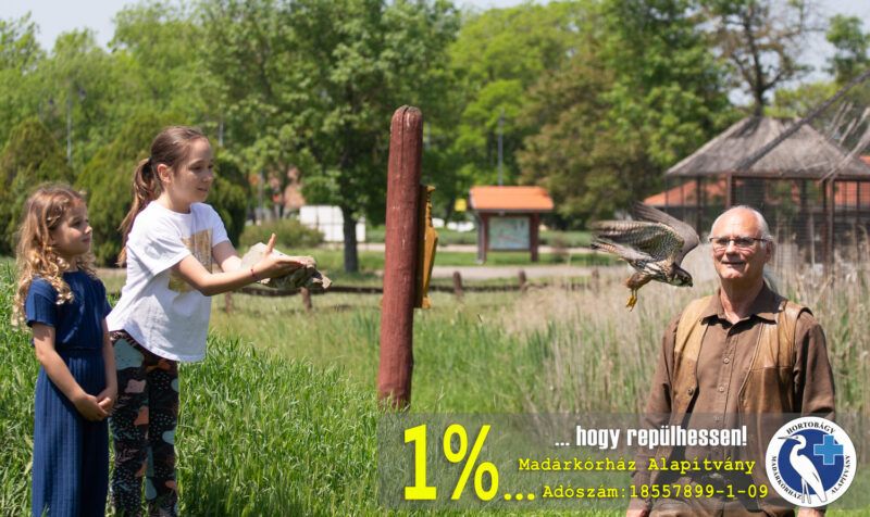 A hortobágyi madárpark adó1%-os felhívása.