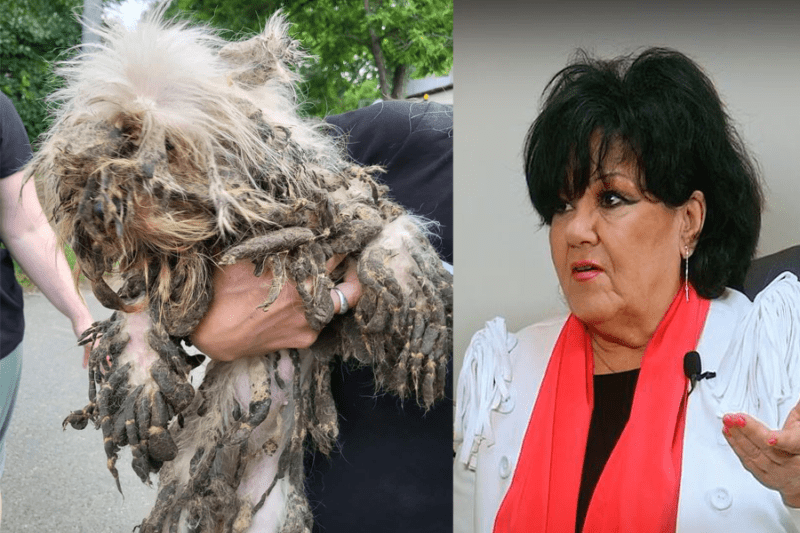 Dolly és az egyik kutyájuk