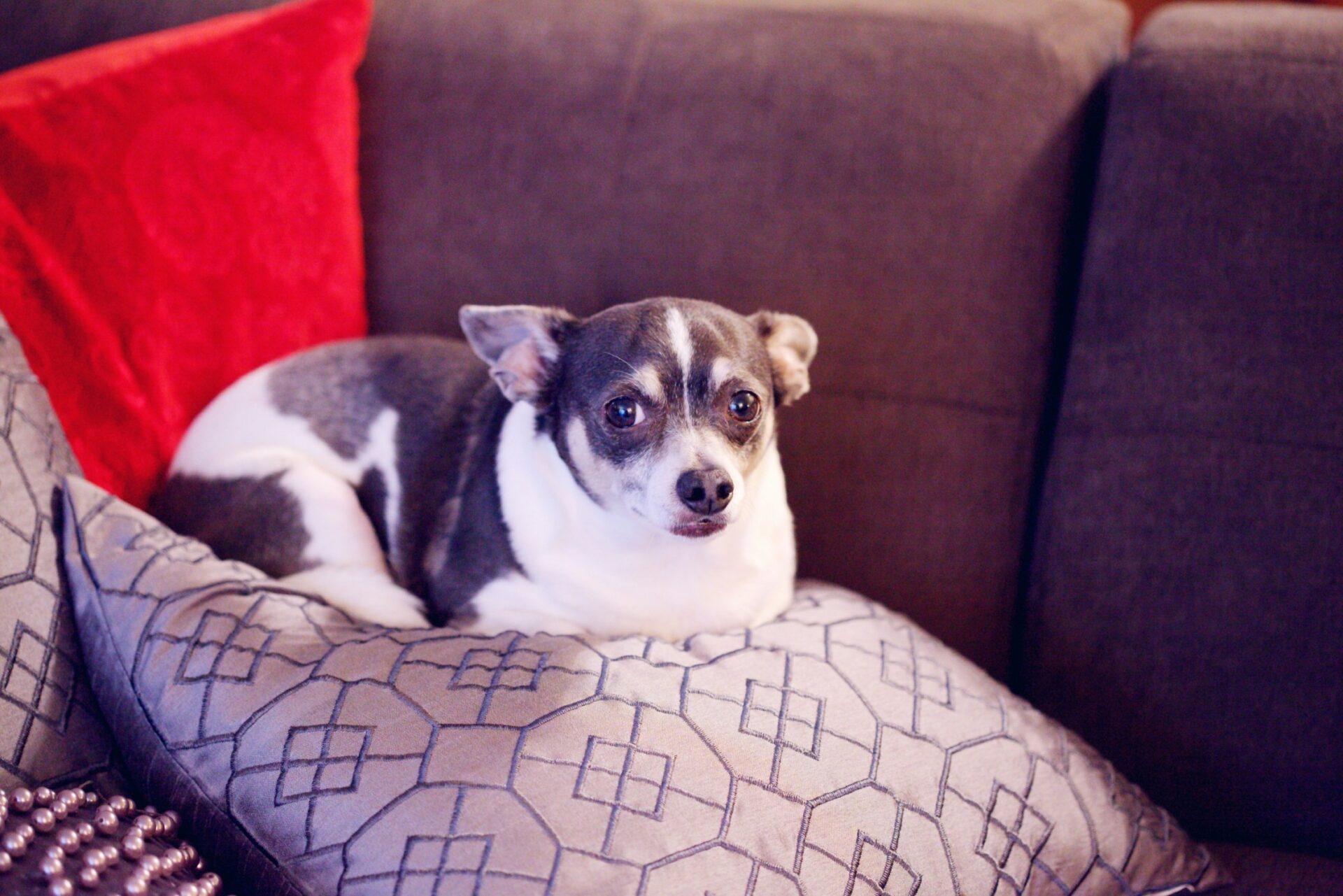 Image default