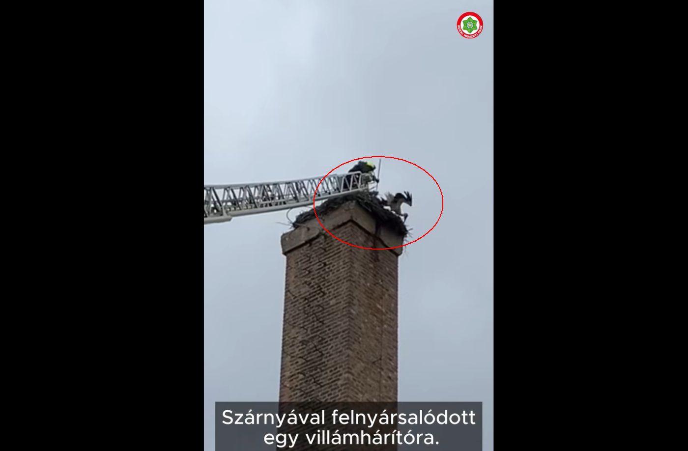 Image default