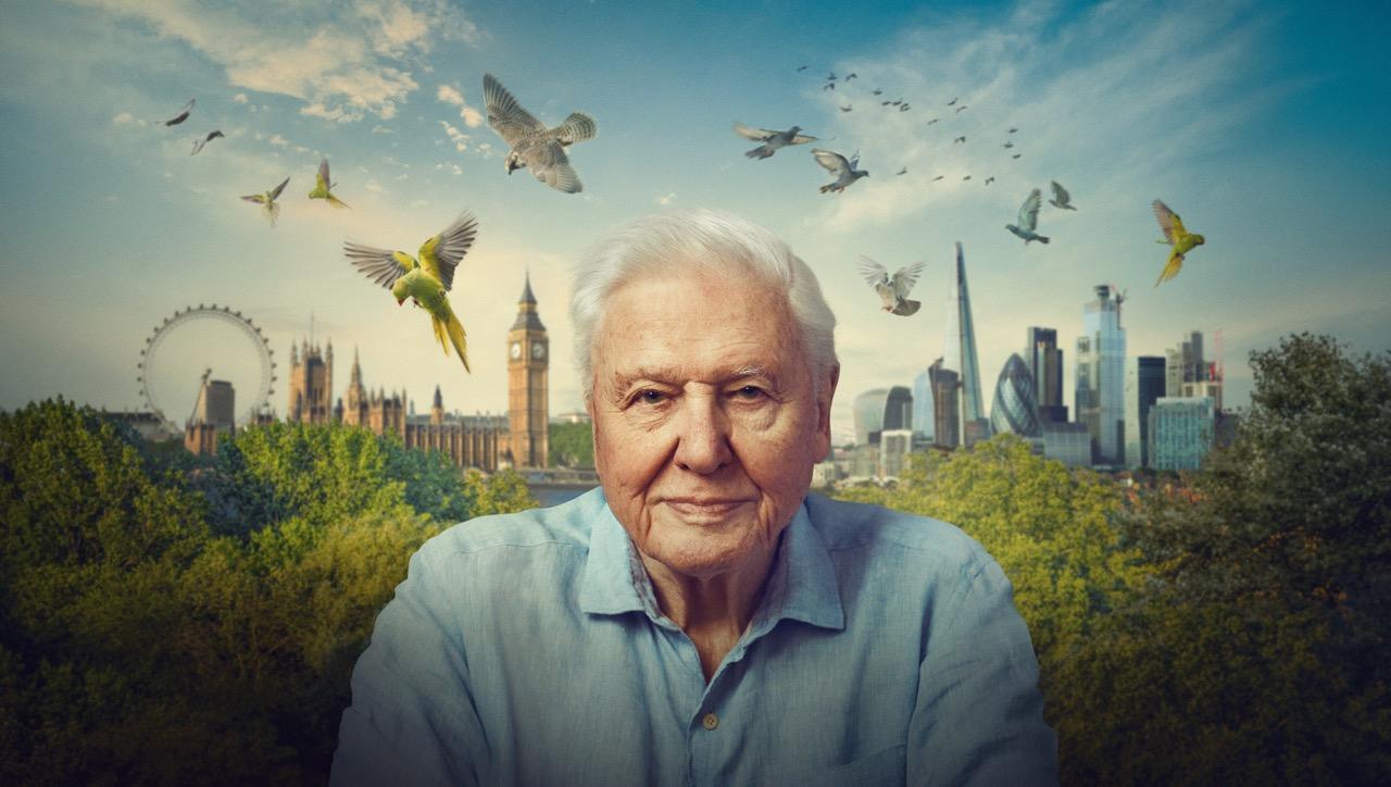attenborough1