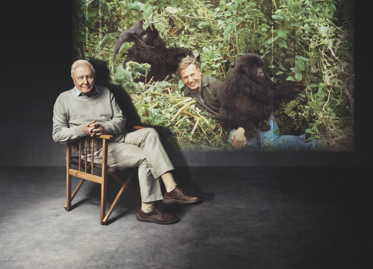 attenborough2