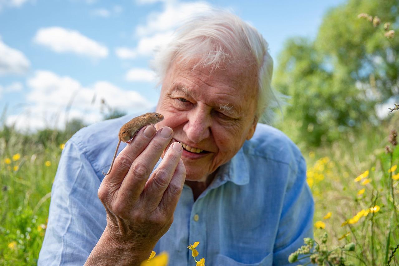 attenborough4