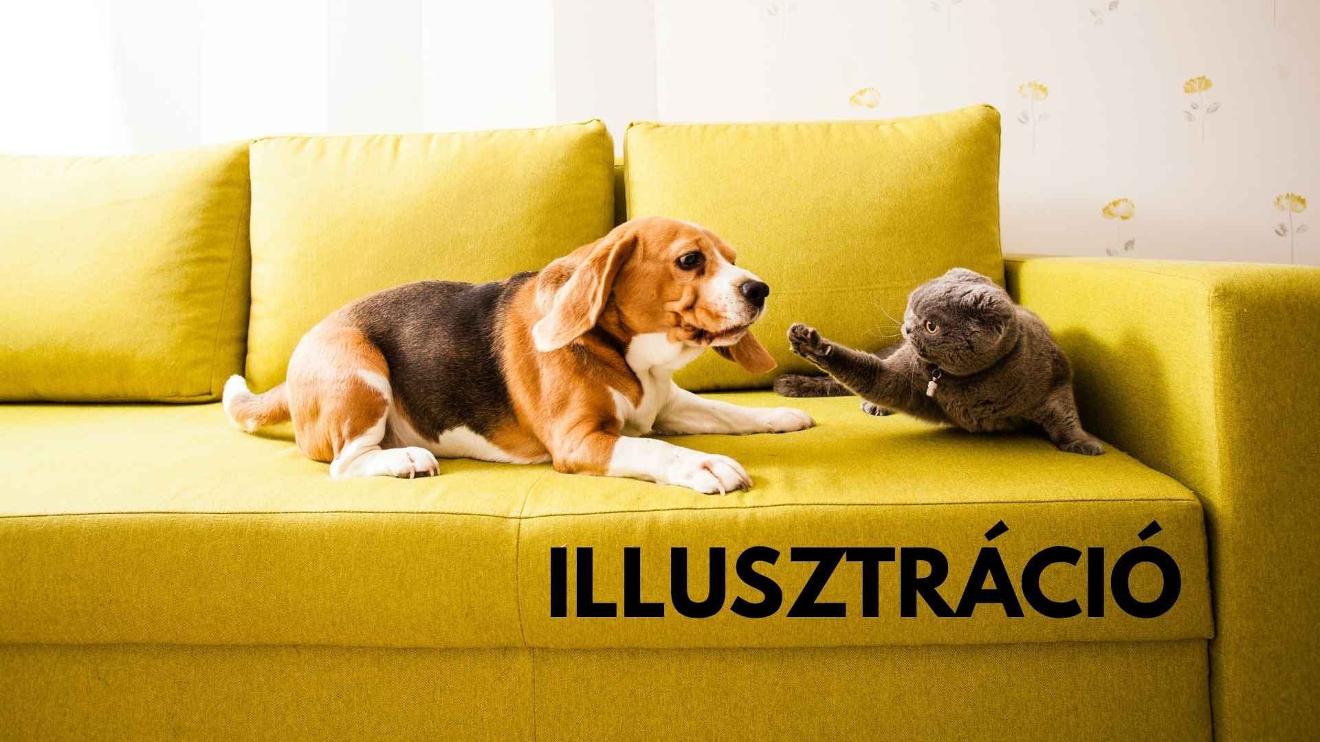 Image default