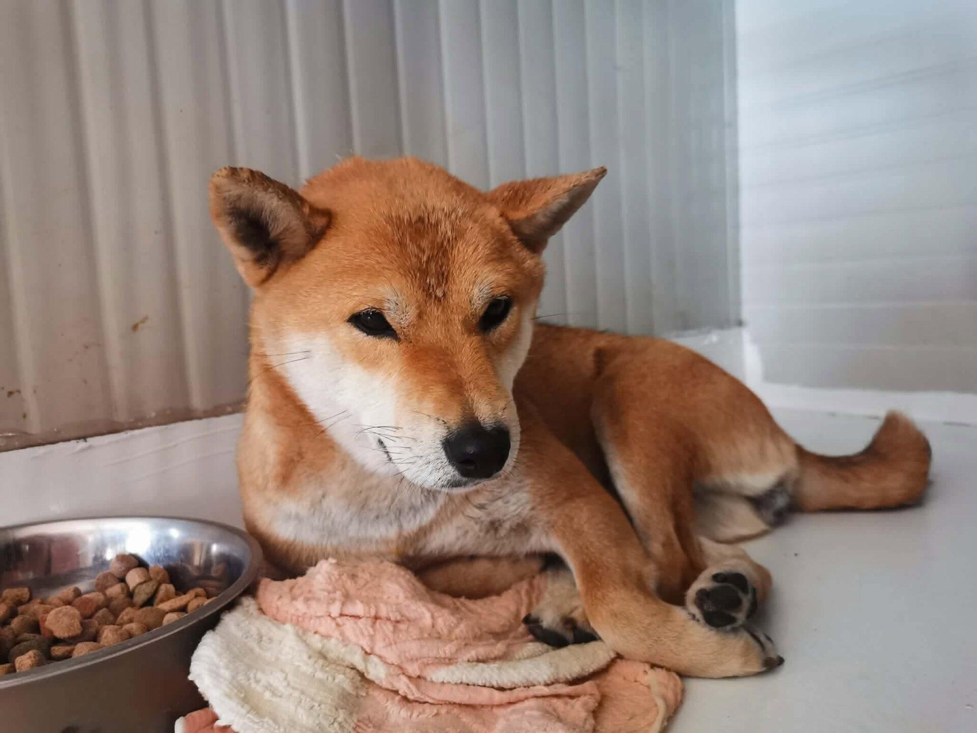 Image default